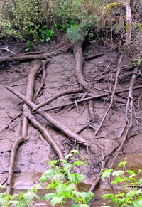 Preachers Slough