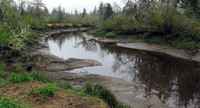 Preachers Slough