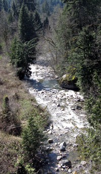 Raging River