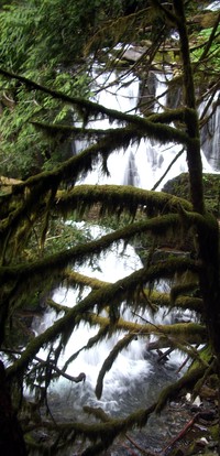 Ranger Falls