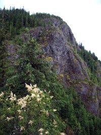 Rattlesnake Ledge Trail