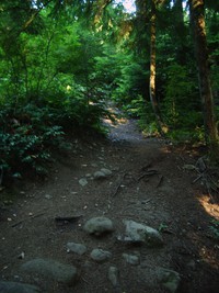 Rattlesnake Mountain trail August