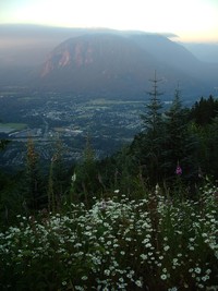 Rattlesnake Mountain trail August