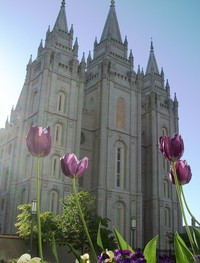 Scott Alex road trip 01 Salt Lake City Temple