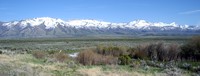 Scott Alex road trip 01 northern Nevada