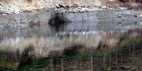 Snoqualmie mud side reflection
