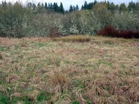 Soos Creek