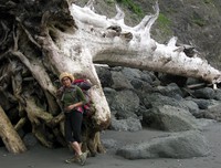 Summer and log