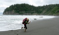 Summer at Jefferson Cove