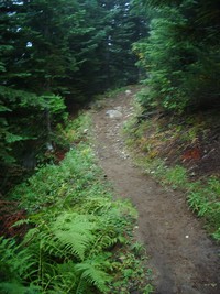 Summit Lake Trail September