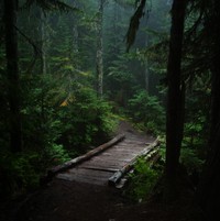 Summit Lake Trail September