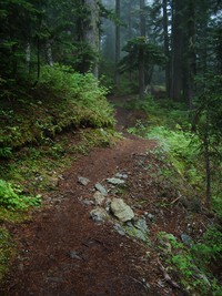 Summit Lake Trail September