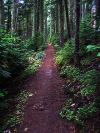 Summit Lake Trail September
