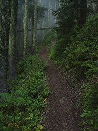 Summit Lake Trail September
