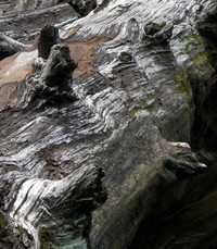 Talapus Lake log