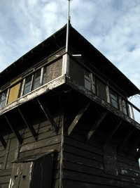 Tolmie Peak lookout