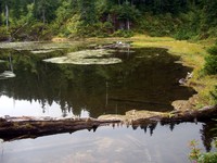 Twin Lake