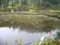 Twin Lake