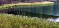 Upper Crystal Lake shore