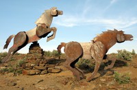 Vantage horses