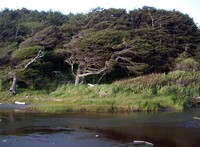 Washington beach