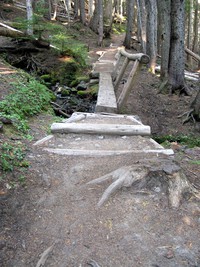 White River to Sunrise trail begin