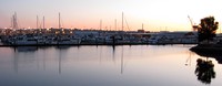 a Tacoma marina