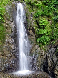 a new falls