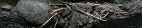 above upper twin falls pan