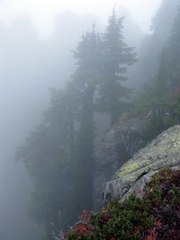 atop Bare Mountain