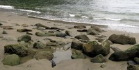 beach rocks