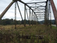 bridge over weeds