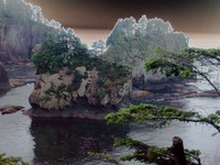 cape flattery