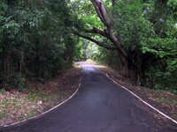 cerro ancon trail