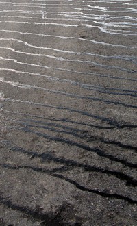 chinook pass road
