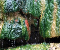 colorful warm water