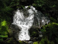 creek on Pratt River trail