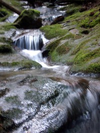 creek tiger mtn south