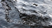 dead water reflections