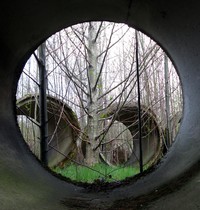 doomed water pipes