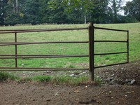 fence