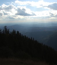 flyers from Poo Poo Point