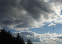 flyers from Poo Poo Point