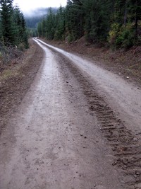 forest road 71311
