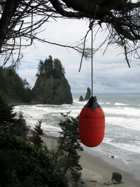 from Mosquito Creek camp