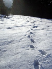 hike in snow