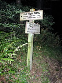 intersection of One View trail and Tiger Mt trail