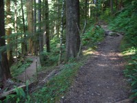 ipsut creek