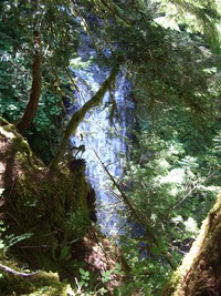 ipsut creek