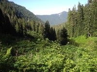 ipsut creek